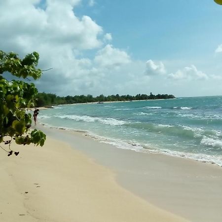 Maison Cecilia Villa Port Louis Bagian luar foto