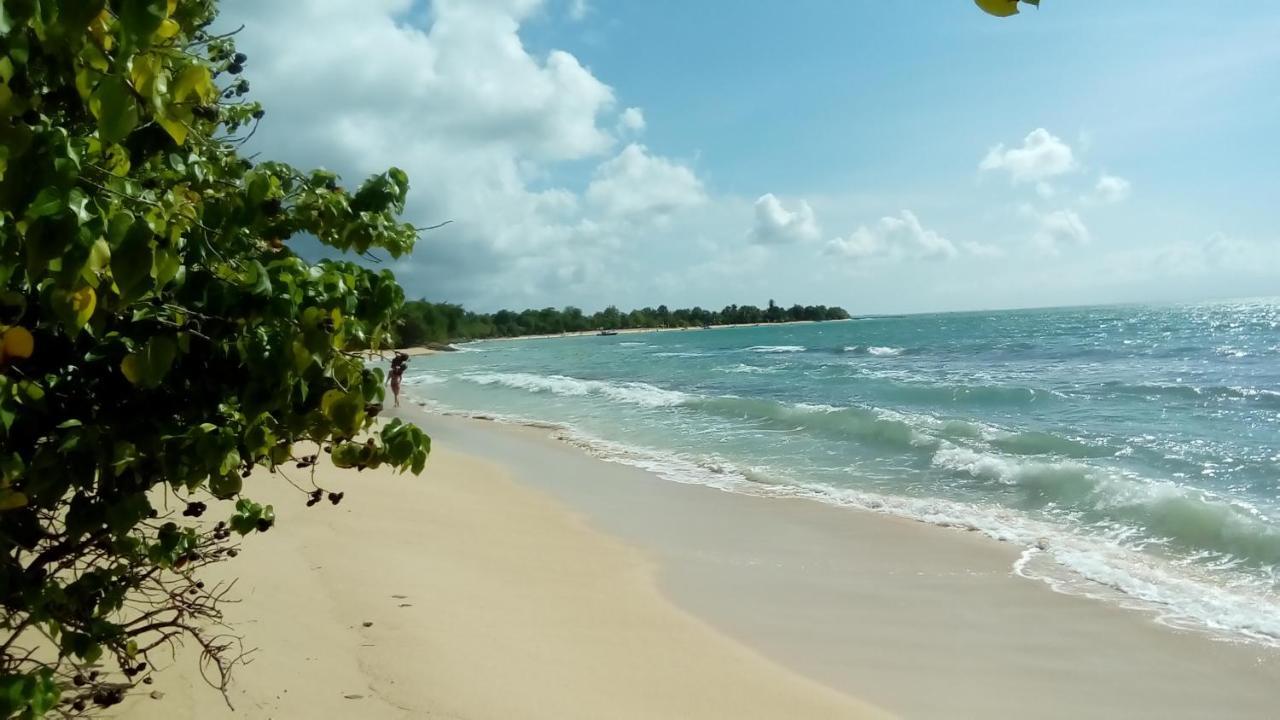 Maison Cecilia Villa Port Louis Bagian luar foto